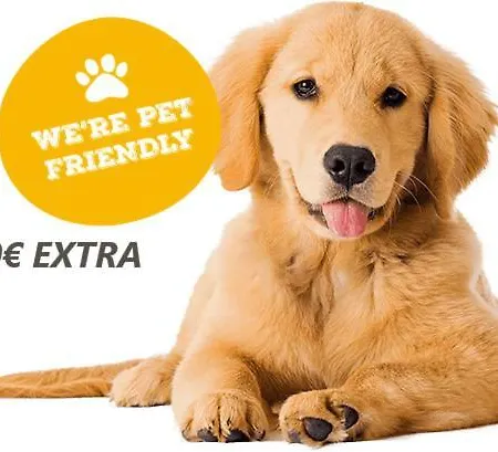 Ag Salinas Playa de Gandia