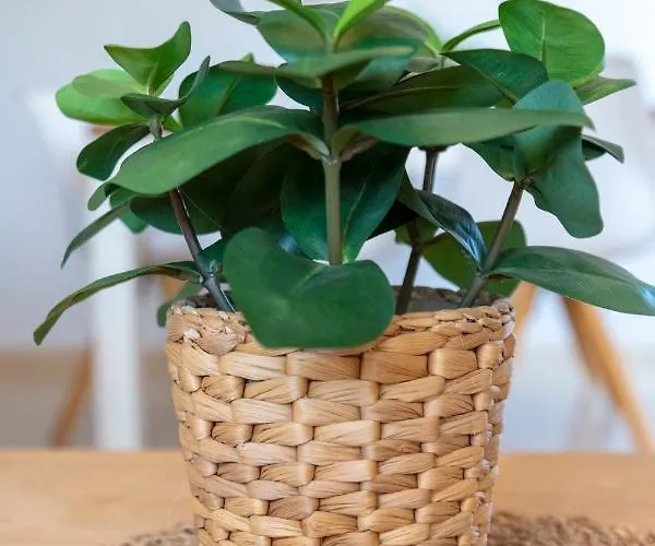 Ag Salinas Διαμέρισμα