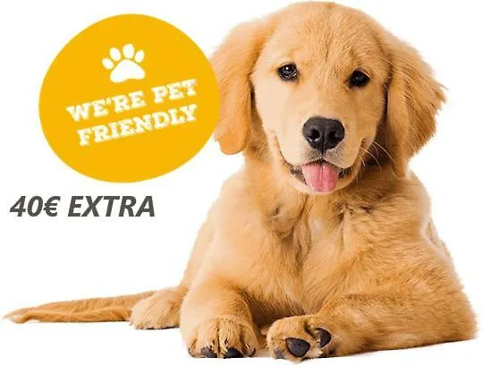 Ag Salinas Playa de Gandia