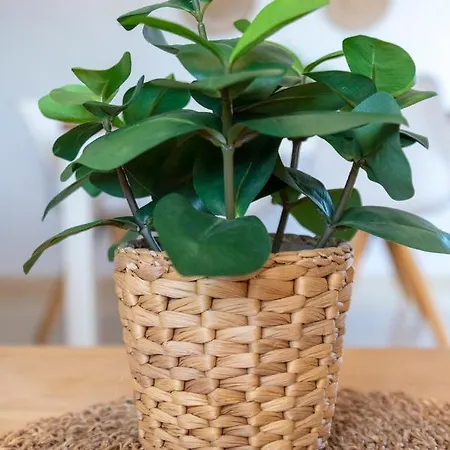 Ag Salinas Apartamento